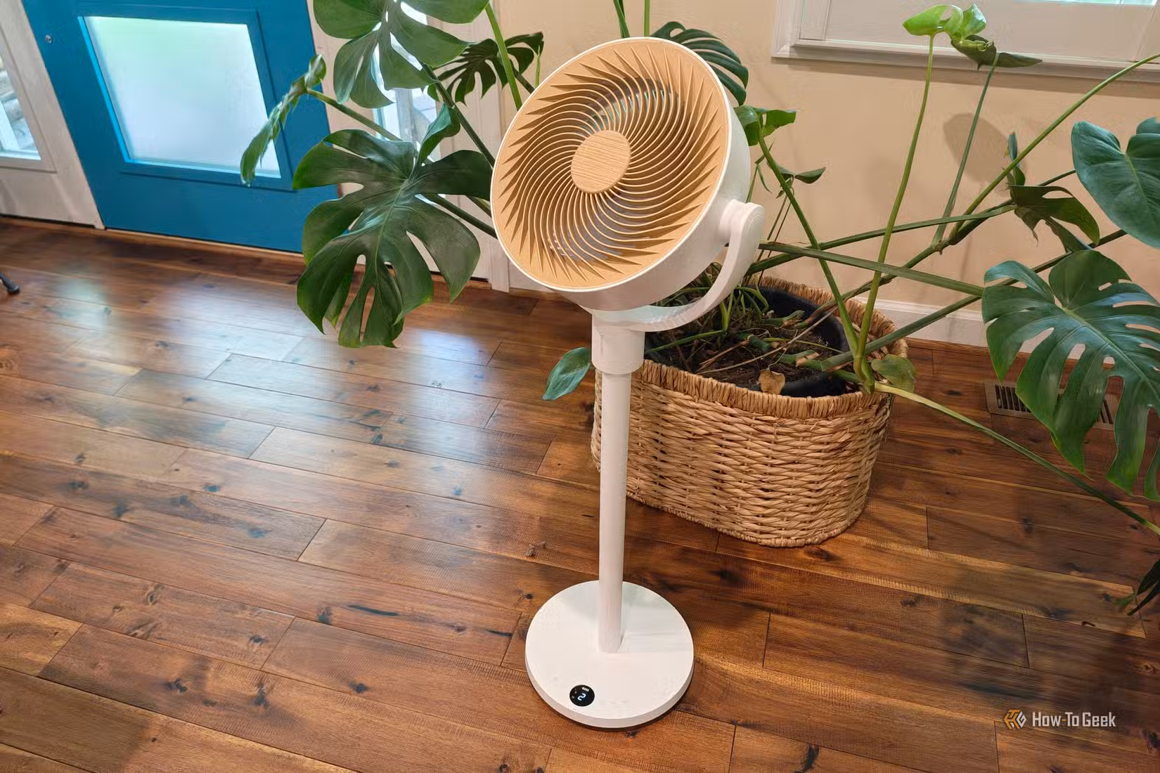 SwitchBot circulator pedestal fan next to an indoor house plant. 