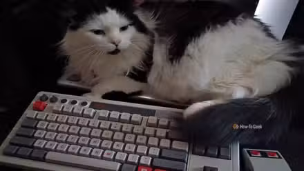 A black and white cat sits atop an NES-themed keyboard