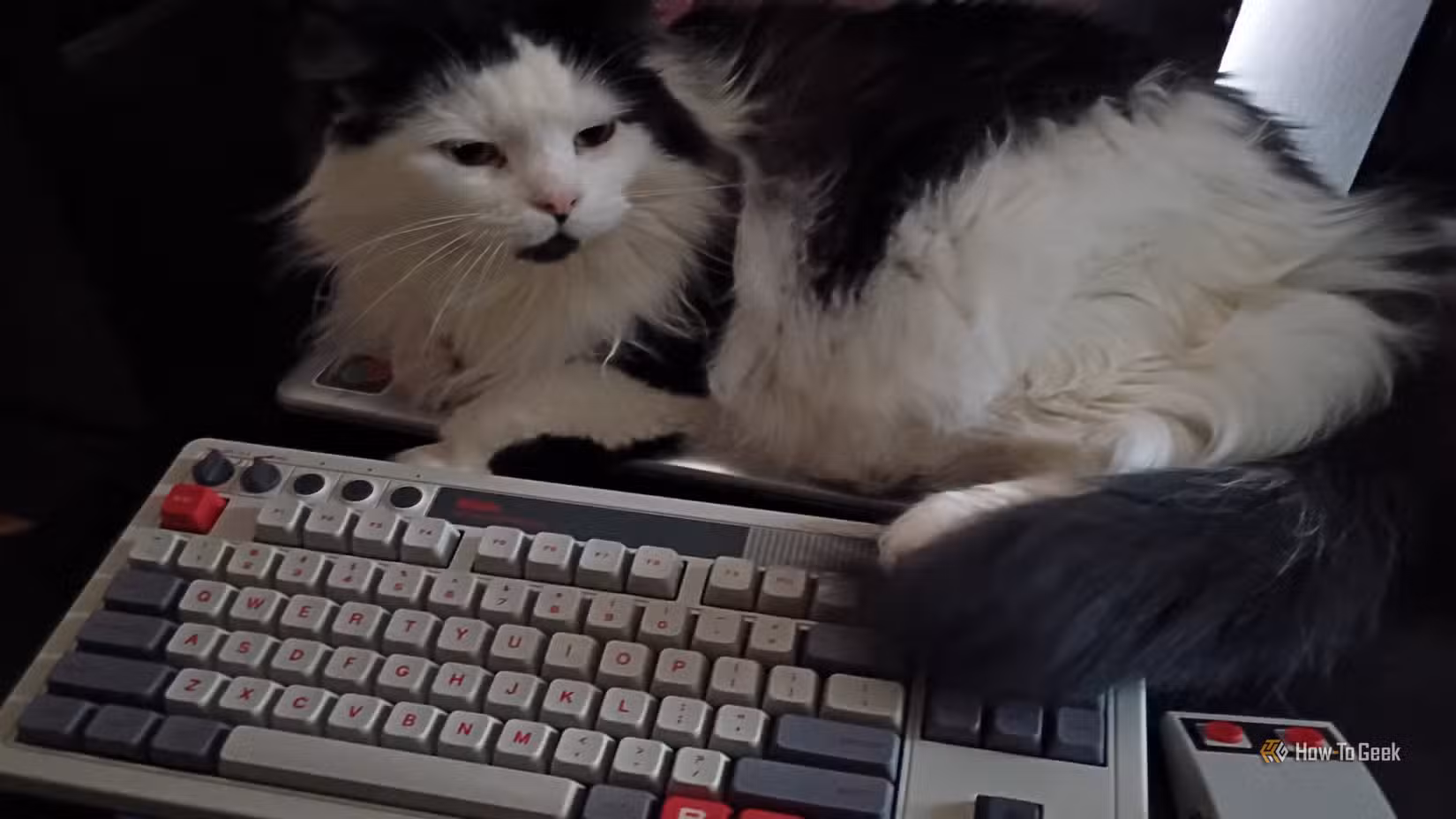 A black and white cat sits atop an NES-themed keyboard.
