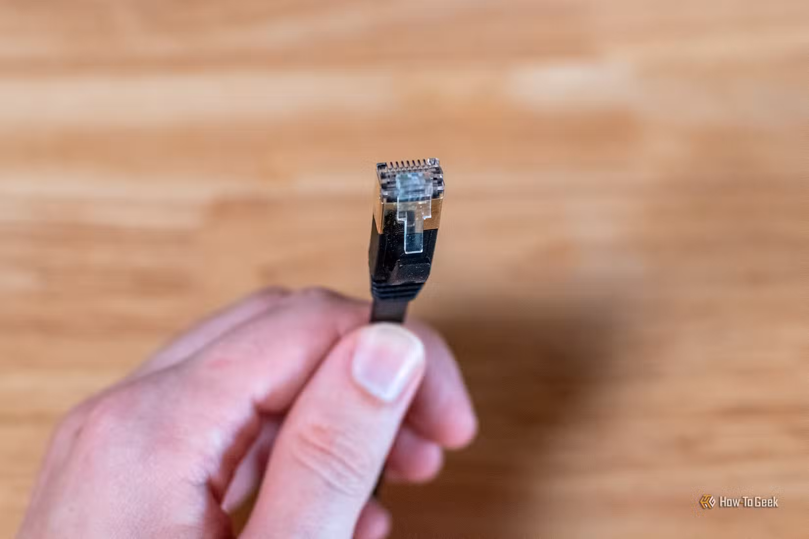 Hand holding a flat Ethernet cable.