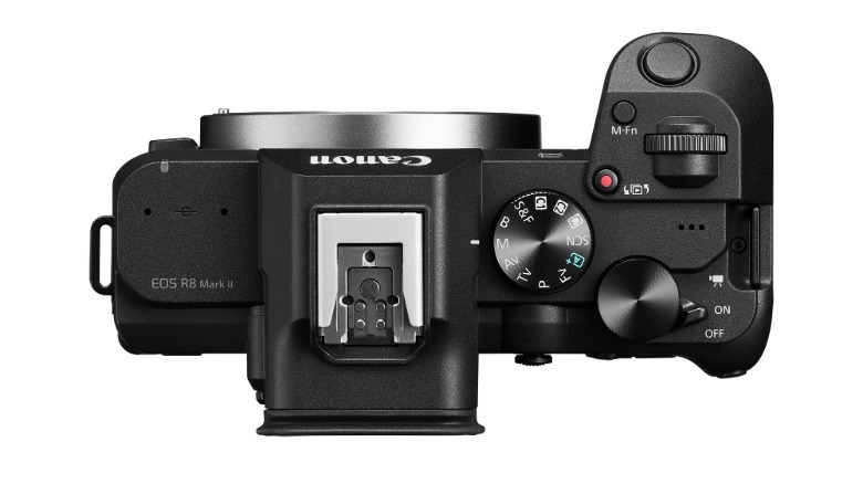 Canon EOS R8 II mirrorless camera shown from the top