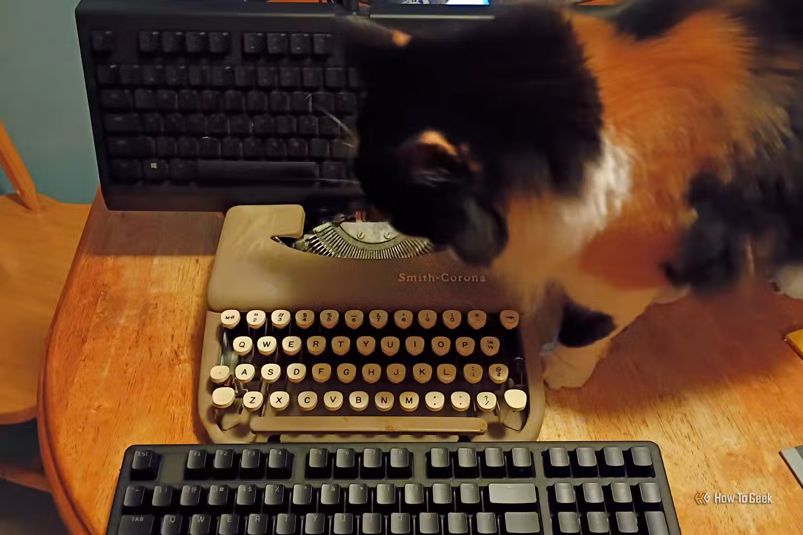 Two keyboards sit above and below a typewriter while a calico cat investigates.