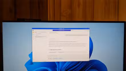 LM Studio open on a Windows 11 PC asking about a opossum