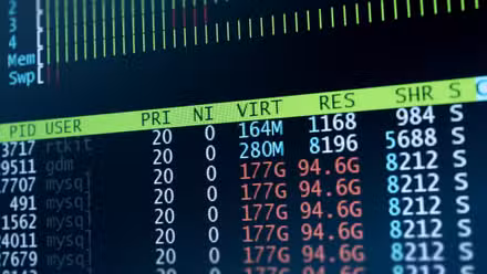 Server data on a monitor with Database MySQL.